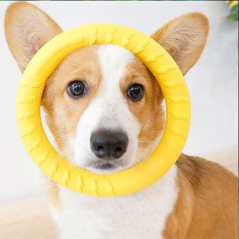 Dog Chew Resistant Ring Toy - FriskFable