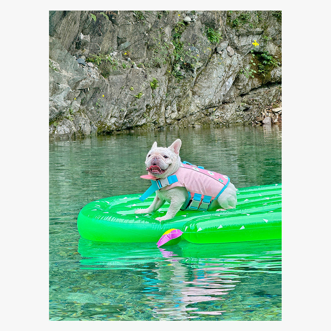 BubbleFloat Dog Life Jacket | FriskFable