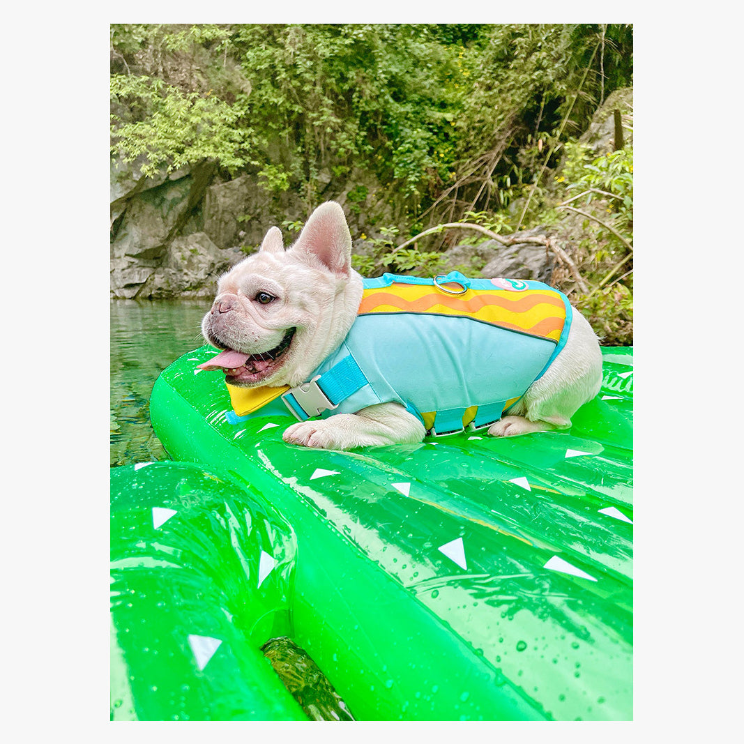 BubbleFloat Dog Life Jacket | FriskFable