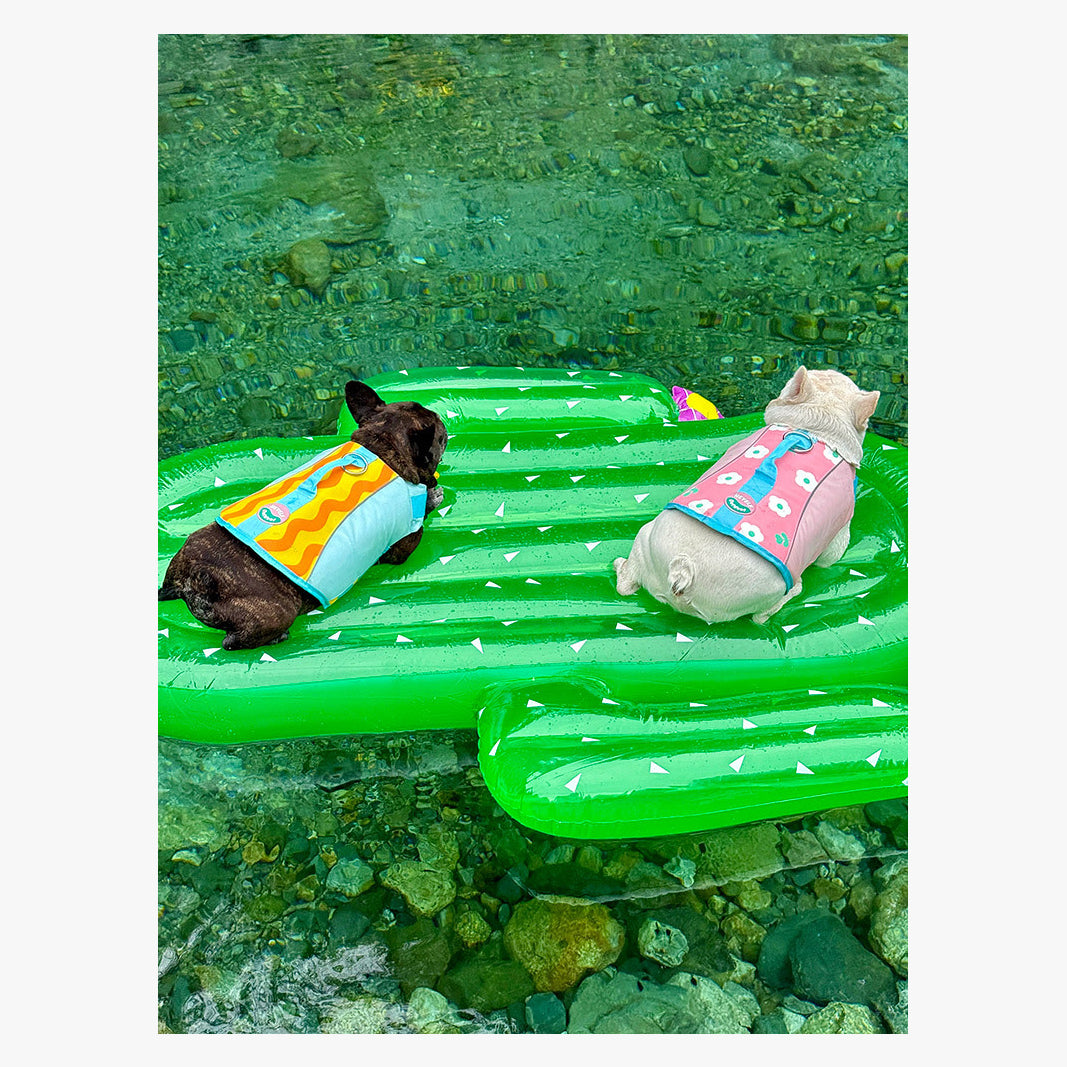 BubbleFloat Dog Life Jacket | FriskFable