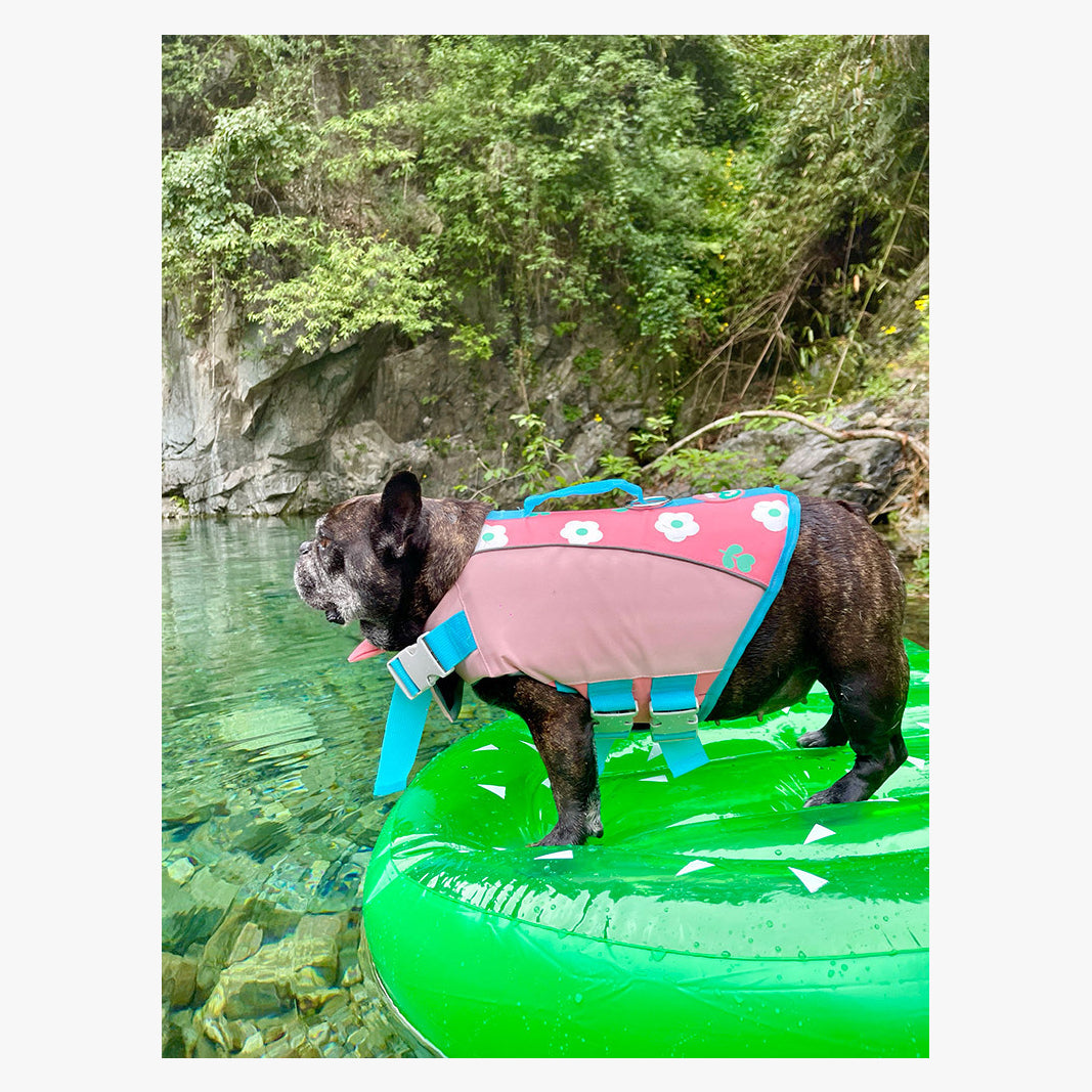 BubbleFloat Dog Life Jacket | FriskFable
