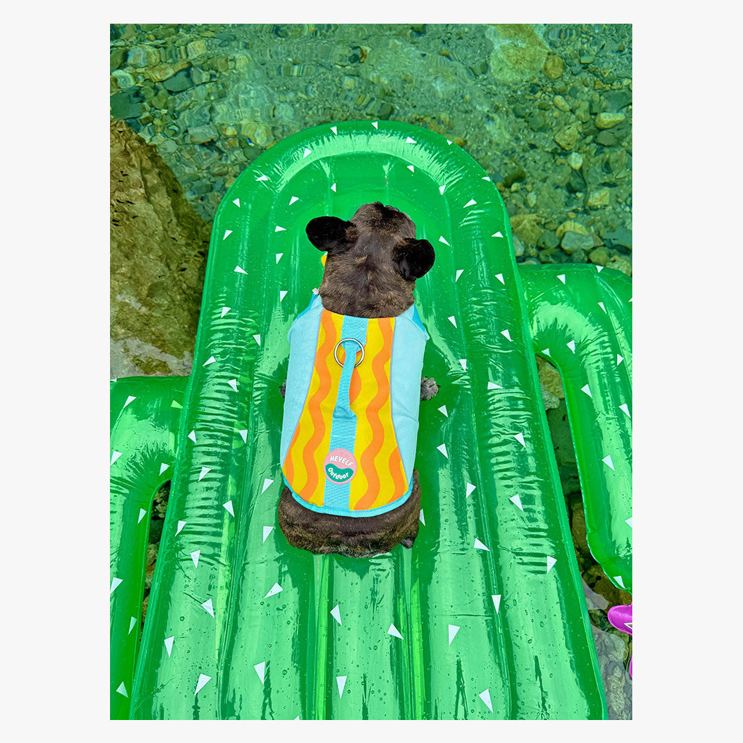 BubbleFloat Dog Life Jacket | FriskFable