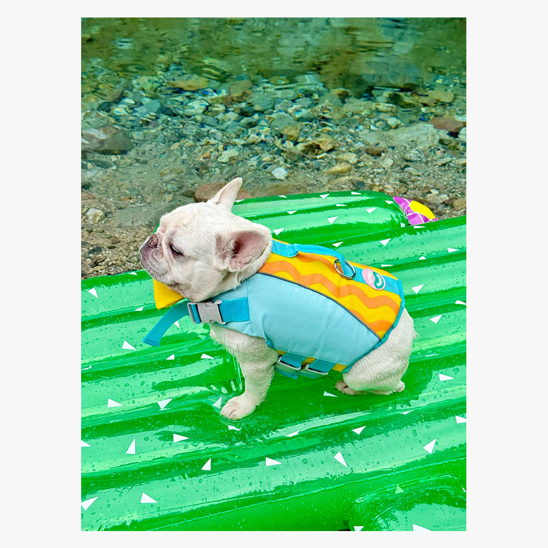 BubbleFloat Dog Life Jacket | FriskFable