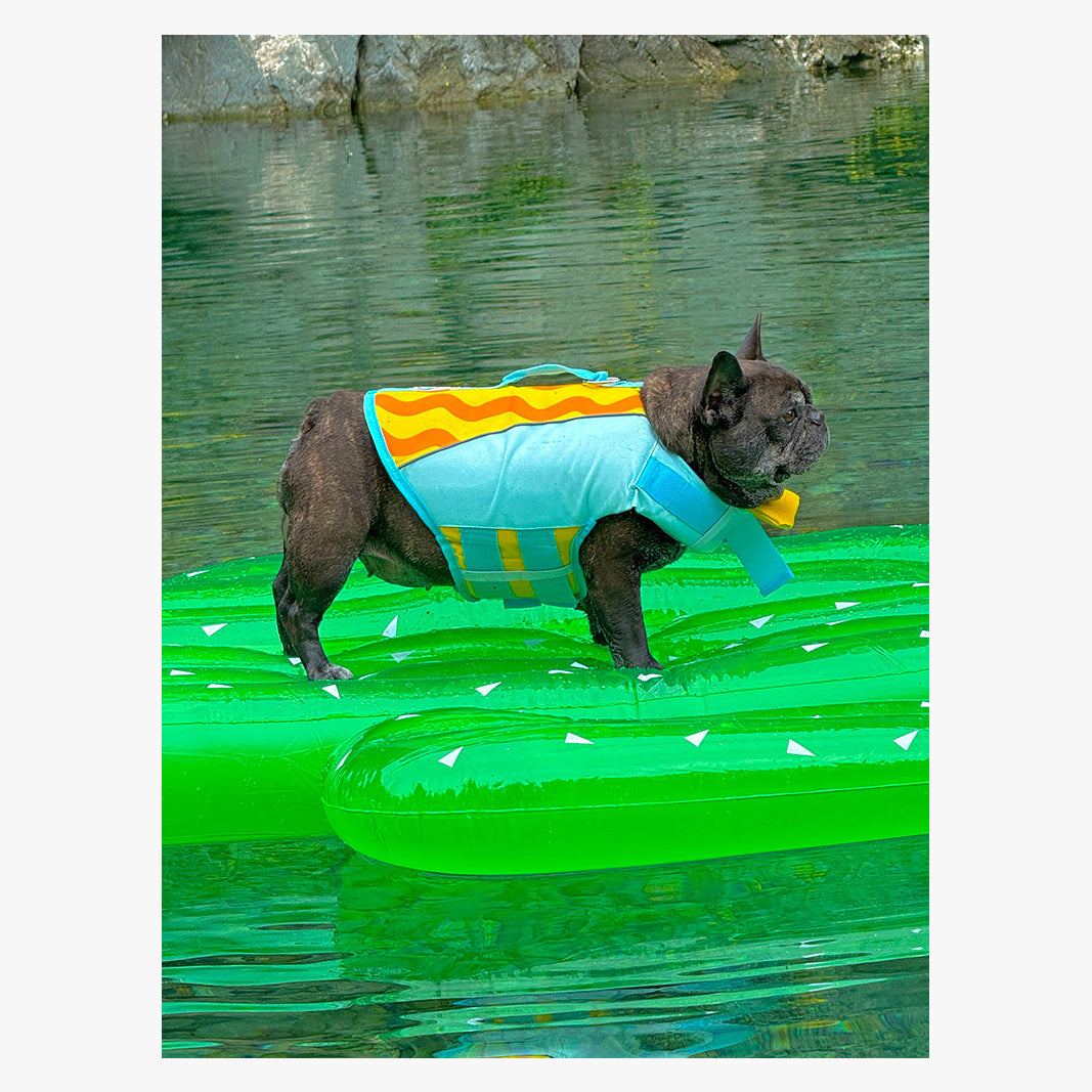BubbleFloat Dog Life Jacket | FriskFable