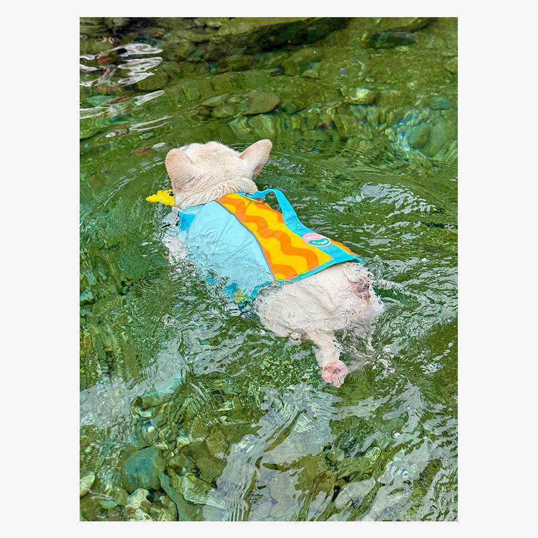 BubbleFloat Dog Life Jacket | FriskFable