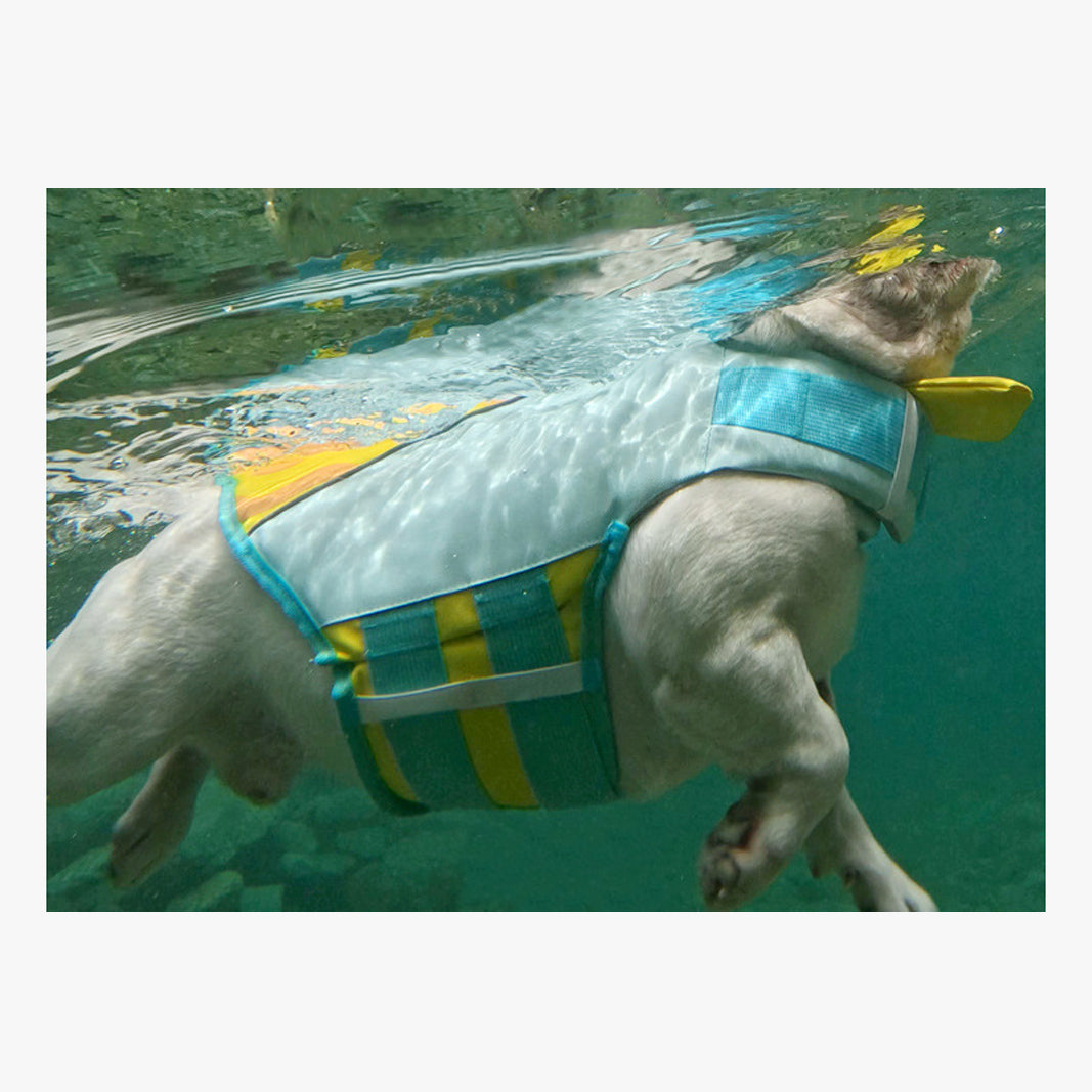 BubbleFloat Dog Life Jacket | FriskFable