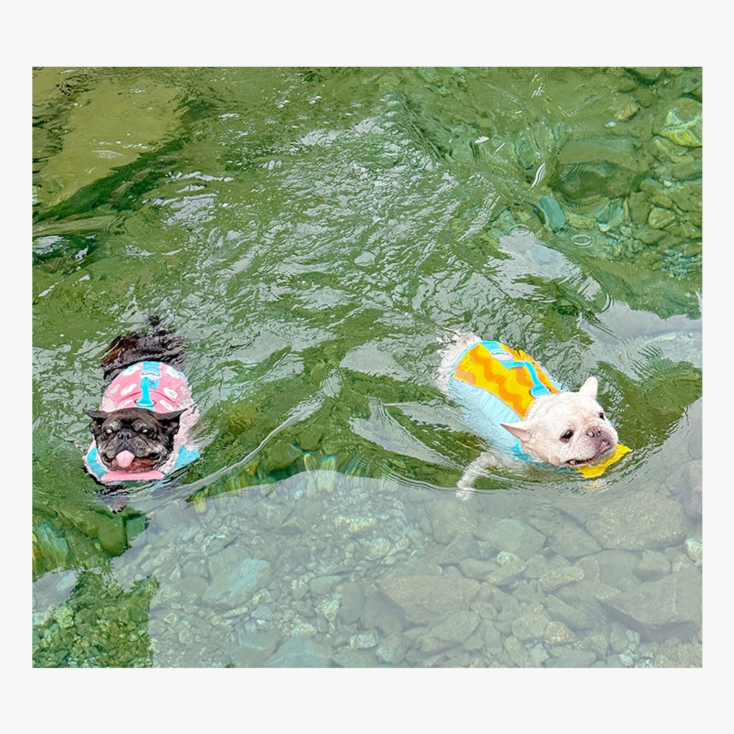 BubbleFloat Dog Life Jacket | FriskFable