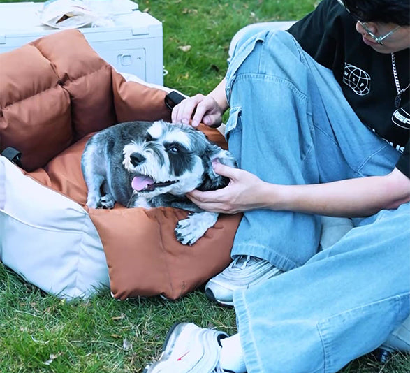Waterproof 2-in-1 Dog Car Seat - Non-Slip Base & Quick-Dry Fabric | FriskFable - friskfable