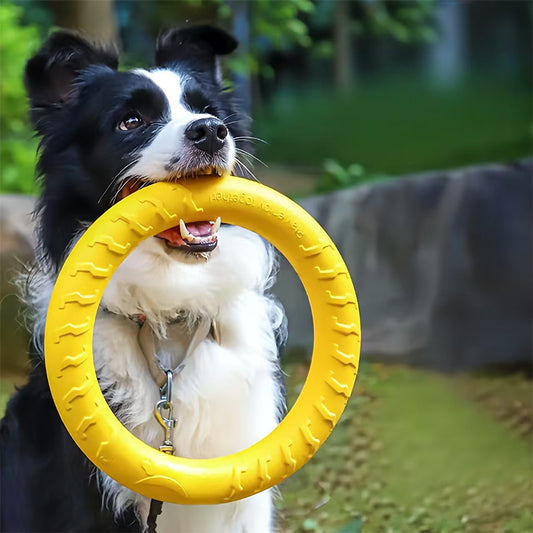 Dog Chew Resistant Ring Toy - FriskFable