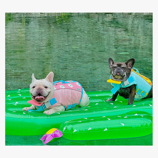 BubbleFloat Dog Life Jacket | FriskFable