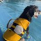 Cute Bee Design Dog life jacket - FriskFable - friskfable