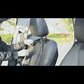 Multi-Size Travel Dog Car Seat | Machine-Washable & All-Season Design | FriskFable - friskfable