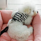 Small & Medium Dog Car Seat with Detachable Cushion & Non-Slip Base | FriskFable - friskfable