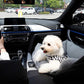 Small & Medium Dog Car Seat with Detachable Cushion & Non-Slip Base | FriskFable - friskfable